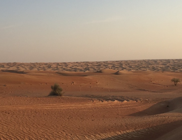 ドバイ　旅行記　砂漠